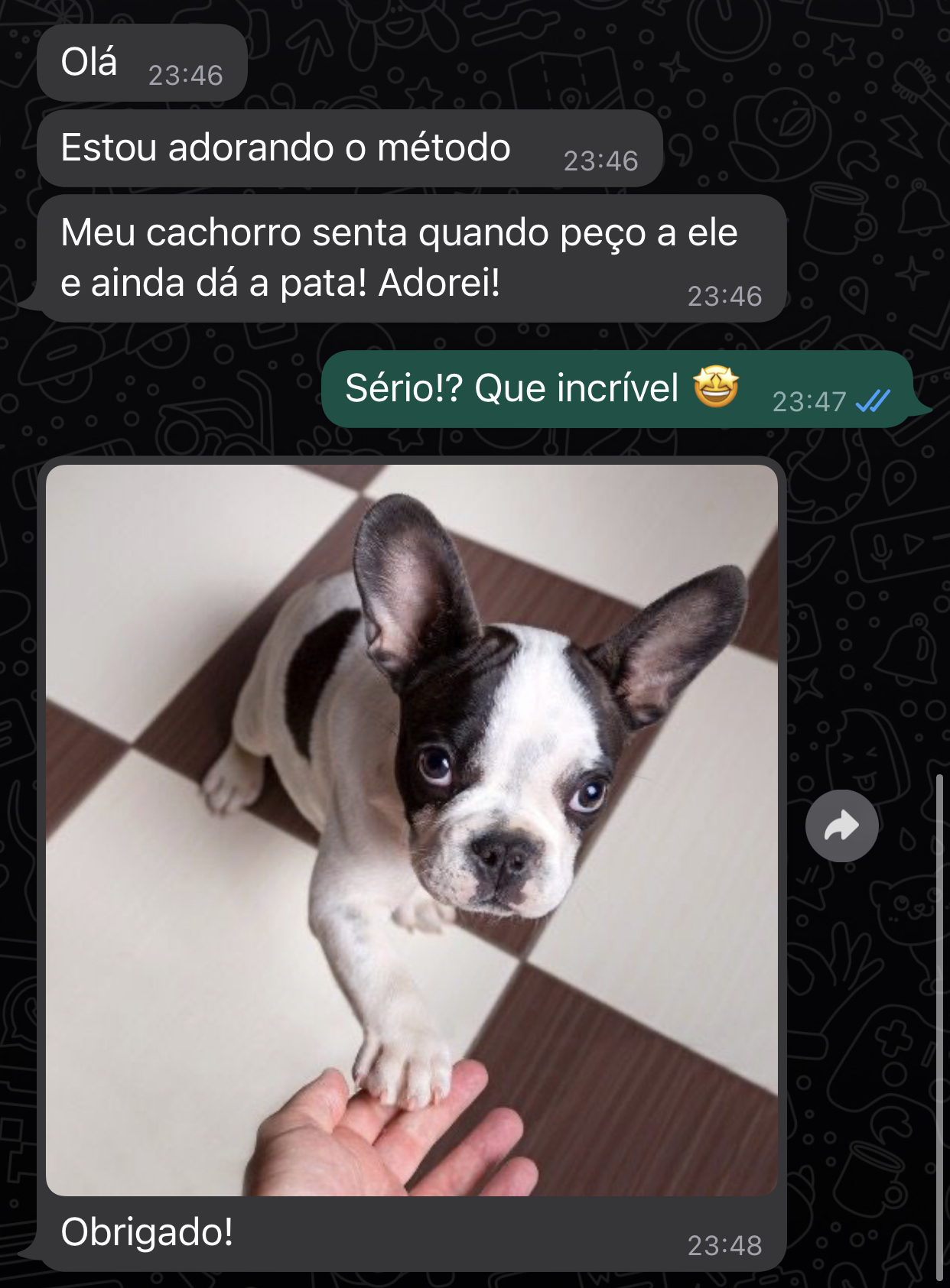 depoimento-pet-2