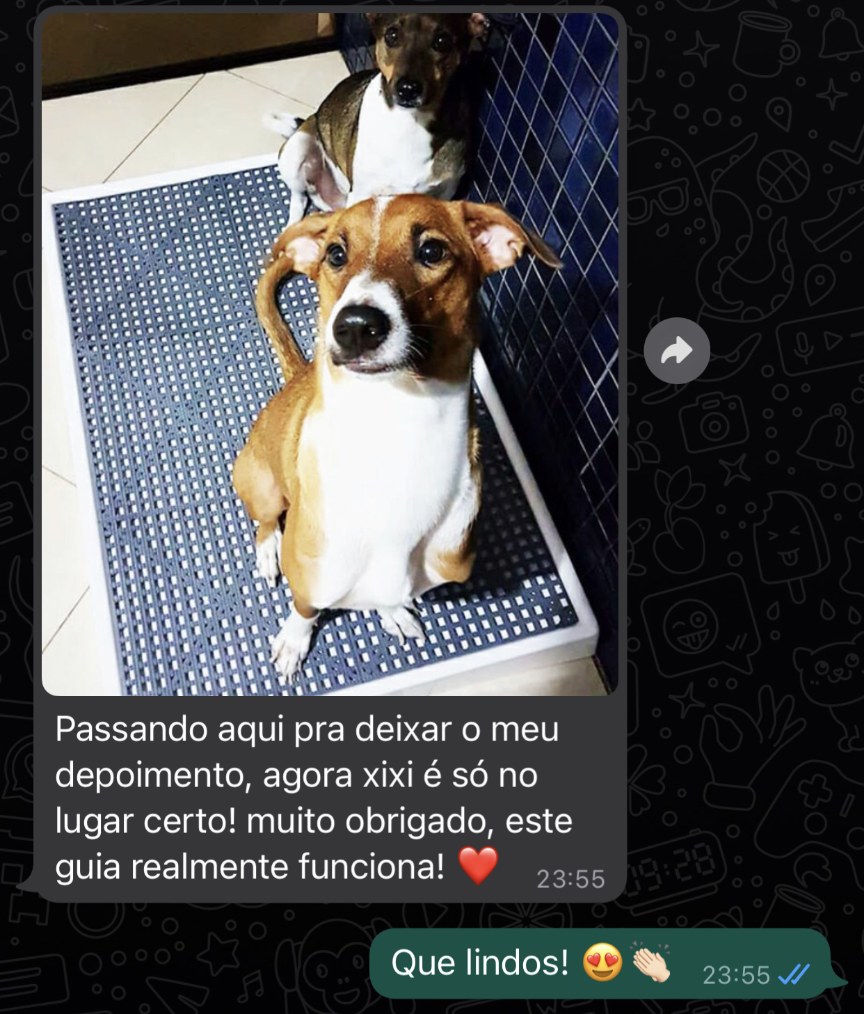 depoimento-pet-4